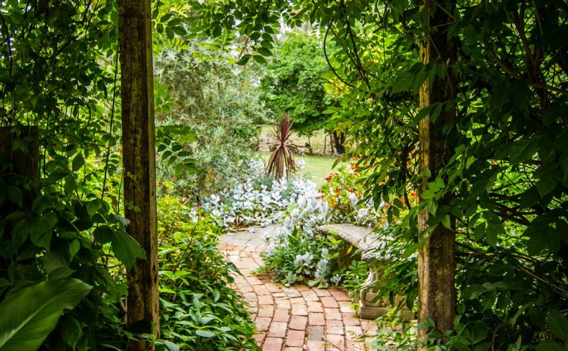 The garden of Gethsemane